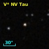 V* NV Tau