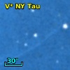 V* NY Tau