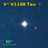 V* V1168 Tau