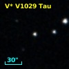 V* V1029 Tau
