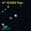 V* V1031 Tau