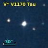 V* V1170 Tau