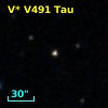 V* V491 Tau