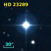 HD  23289