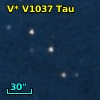 V* V1037 Tau