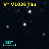 V* V1036 Tau