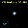 Cl* Melotte   22   PELS      36