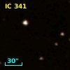 IC  341