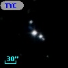 TYC 1239-318-1