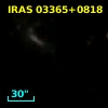 IRAS 03365+0818