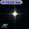 V* V1125 Tau