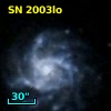 SN 2003lo
