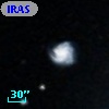 IRAS F03324-1000