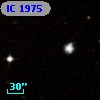 IC 1975
