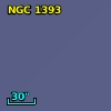 NGC  1393