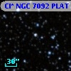 Cl* NGC 7092   PLAT    3504