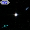 TYC 6447-1000-1