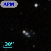 APMCC 437