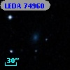 LEDA   74960