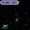FLSBG 103