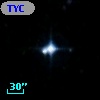TYC 7031-556-1