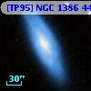 [TP95] NGC  1386  44