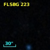 FLSBG 223