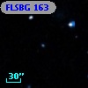 FLSBG 163