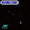 FLSBG 236
