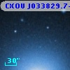 CXOU J033829.7-352504