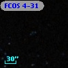 FCOS 4-31