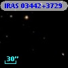 IRAS 03442+3729