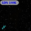 LDN 1446
