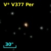 V* V377 Per