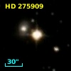HD 275909