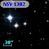 NSV  1302