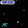 42P 229