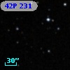42P 231
