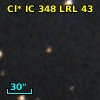 Cl* IC  348    LRL      43