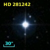 HD 281242