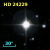 HD  24229