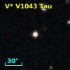 V* V1043 Tau