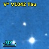 V* V1042 Tau