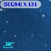 [SCG94] X 131