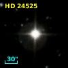 HD  24525