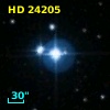 HD  24205