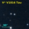 V* V1016 Tau