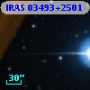 IRAS 03493+2501