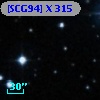 [SCG94] X 315