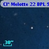 Cl* Melotte   22    BPL      99